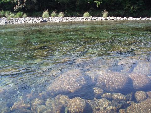 e0106098_19341036.jpg