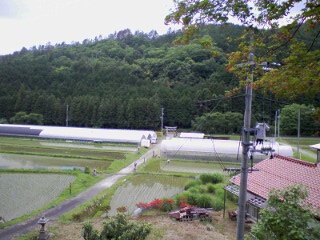 e0124705_156586.jpg