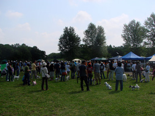 f0080105_9445391.jpg