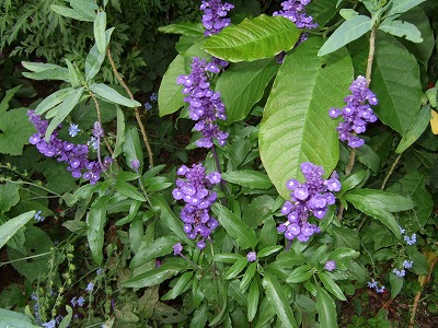 b0107310_20425157.jpg