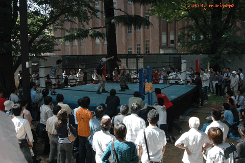 a0094711_23135389.gif