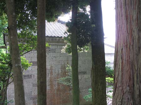 d0080118_17561086.jpg