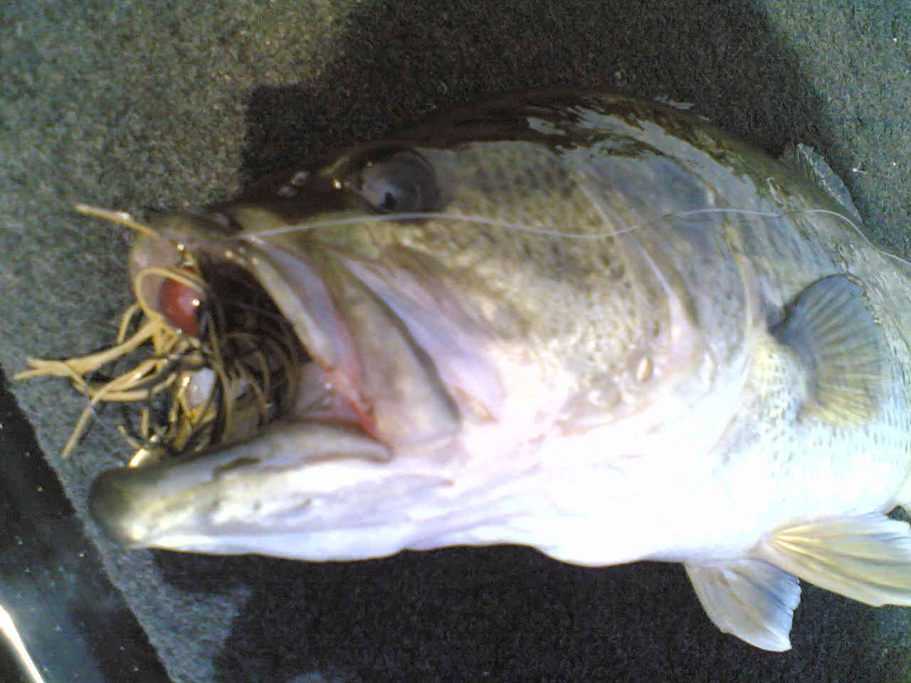 e0100021_205225.jpg