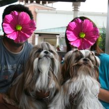 c0028424_22151730.jpg