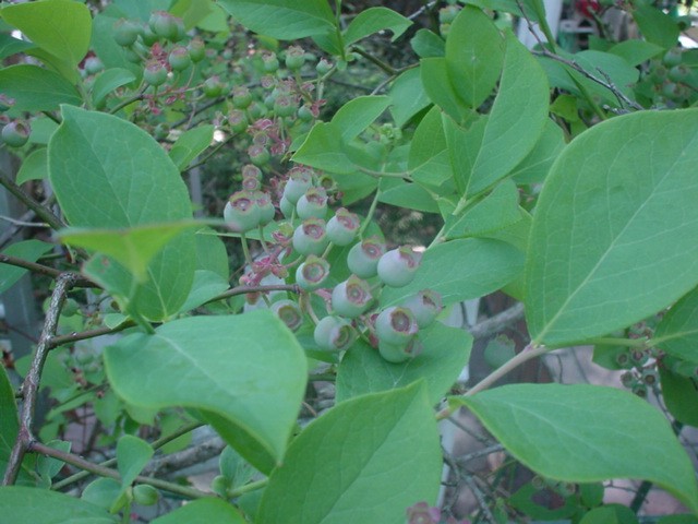d0004627_21471640.jpg