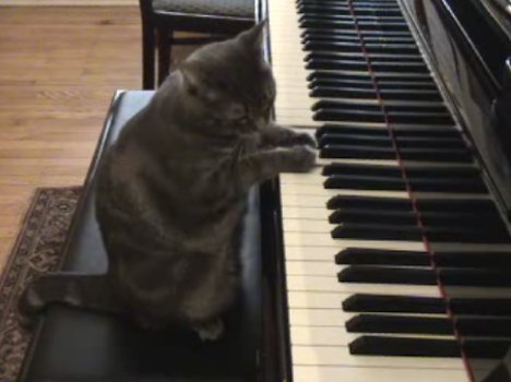 Nora, the pianist_b0060239_20593482.jpg