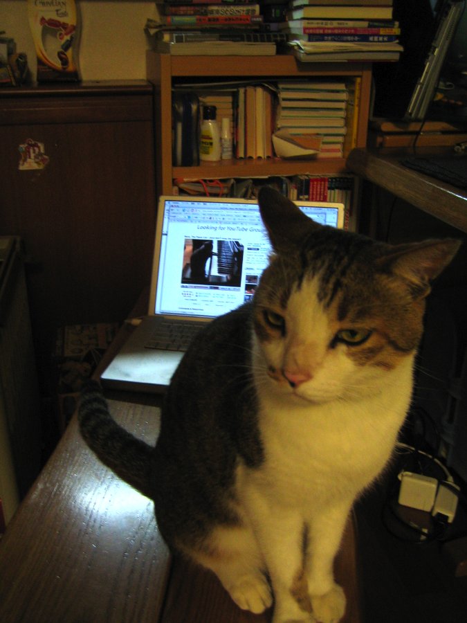 Nora, the pianist_b0060239_21314457.jpg