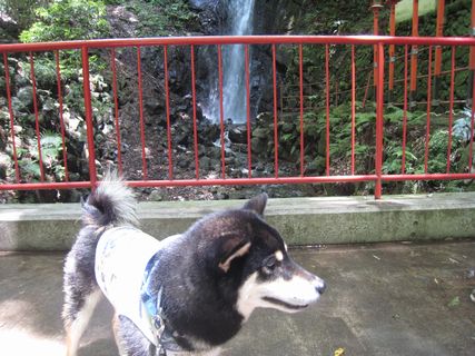 f0058241_2056578.jpg