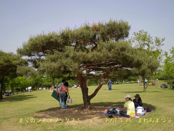 d0020443_23242650.jpg