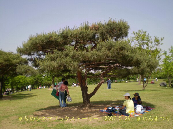 2007.5ソウル旅行☆その1☆マワンロケ地_d0020443_23242650.jpg