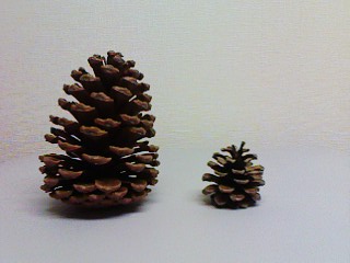 c0100148_113192.jpg