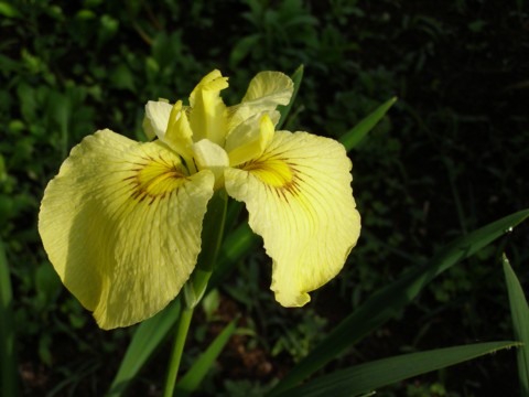 f0043750_22393437.jpg