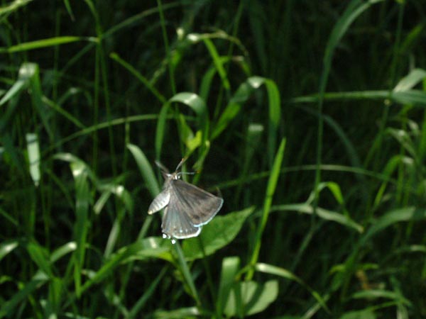 c0045352_17374533.jpg