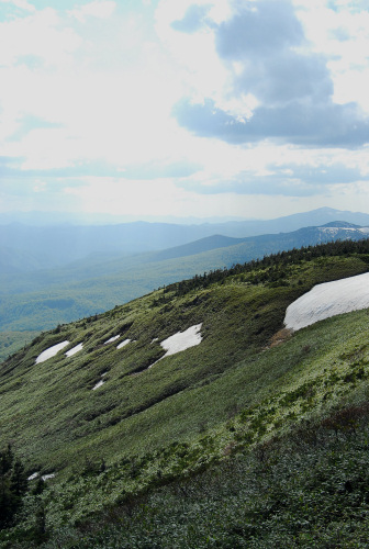 e0029553_2371315.jpg