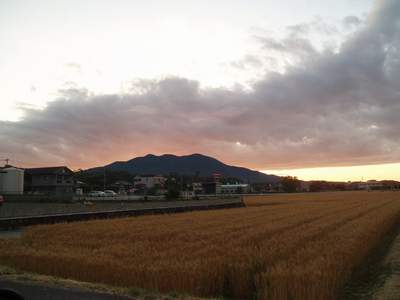 朝と昼の空_a0077071_16194786.jpg