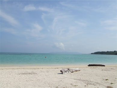 e0036571_2257718.jpg