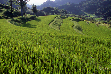 d0025894_021865.jpg