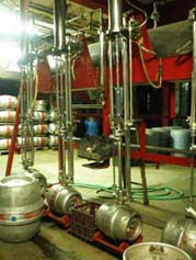 c0061496_75725.jpg