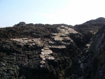 e0110600_21161065.jpg