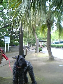 c0037701_1220128.jpg