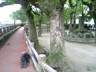 c0037701_1232491.jpg