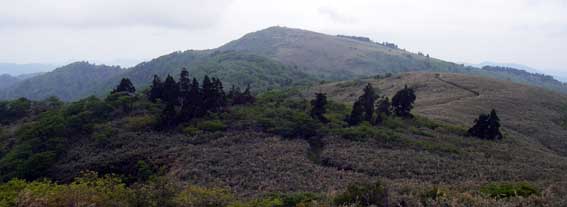 6/5(火) 氷ノ山_a0062810_23132518.jpg