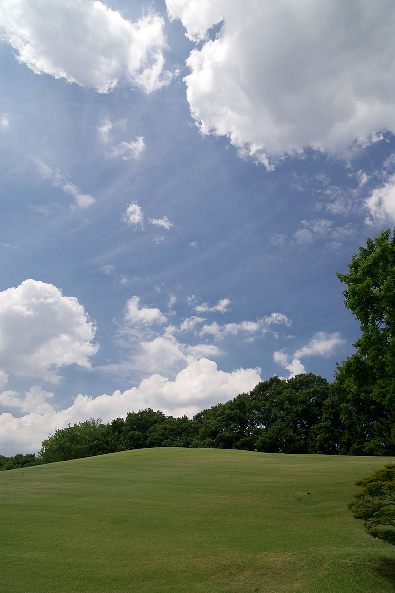 被写体の宝庫-万博記念公園3_c0119613_2251175.jpg