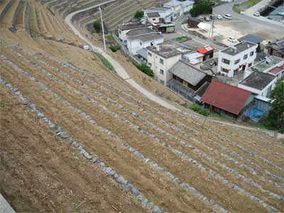 f0038819_0305119.jpg