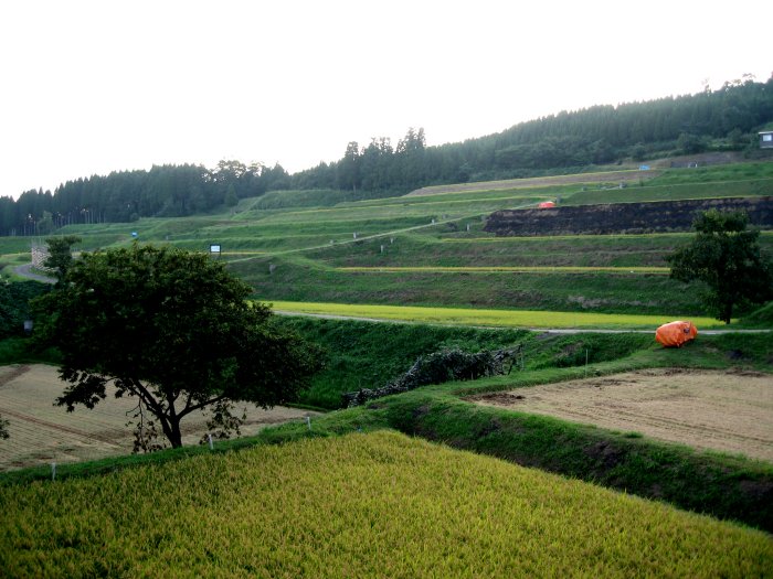 北陸 山陰編 8 長坂の棚田 06 9 散歩の変人