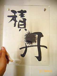 ウニの為に積丹へ飛ぶ_c0053520_19412618.jpg