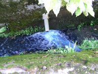 d0112024_14405429.jpg