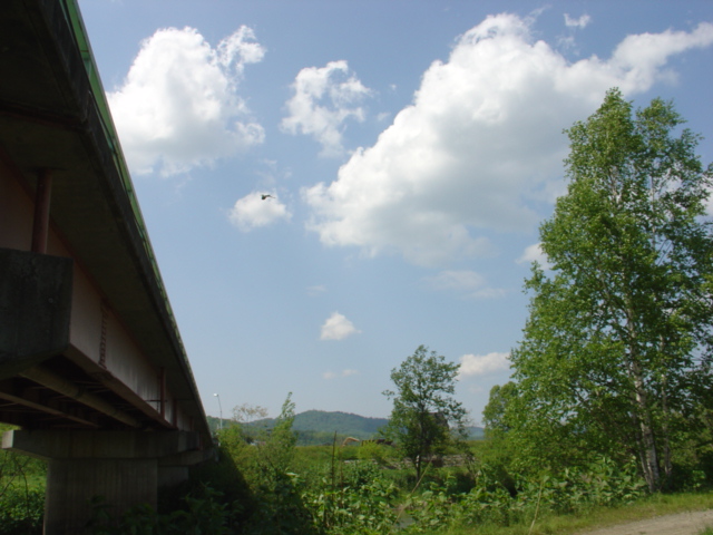 d0111435_1615826.jpg