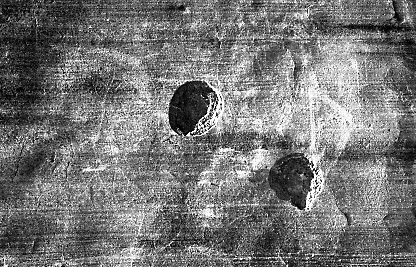 d0008237_2326527.jpg