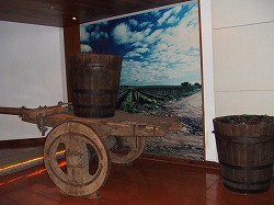 a0046339_23161024.jpg