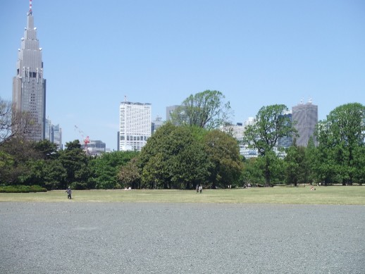 Shinjuku Gyoen_e0046748_12404426.jpg