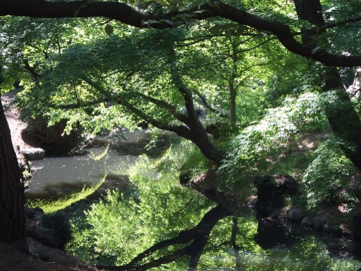 Shinjuku Gyoen_e0046748_12405514.jpg