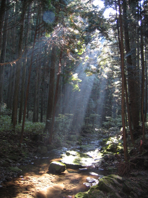 e0121349_23571859.jpg