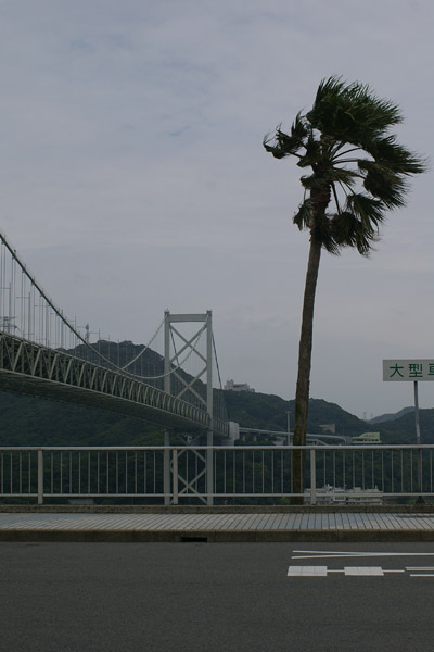 e0028952_23501735.jpg