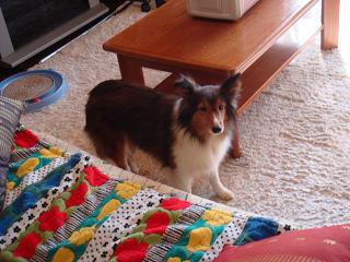 f0046854_20131747.jpg