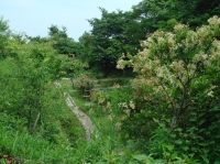 c0108460_207873.jpg