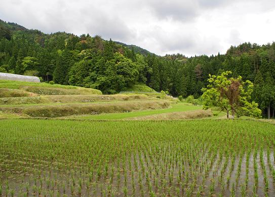 大和が好きな奴のために・・・・_f0102363_121282.jpg