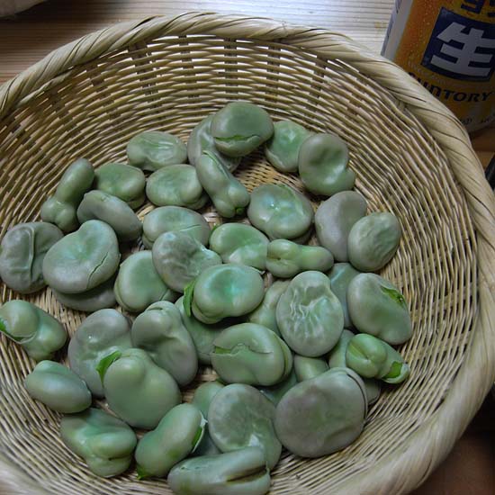 期せずして今年も・・・しかし今年は・・・_e0082981_2274320.jpg