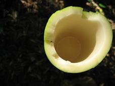 e0069895_23315599.jpg