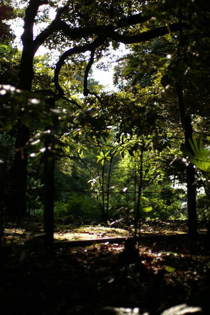 c0120903_21395183.jpg