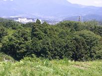 e0087805_13501950.jpg