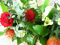 b0044706_232487.jpg