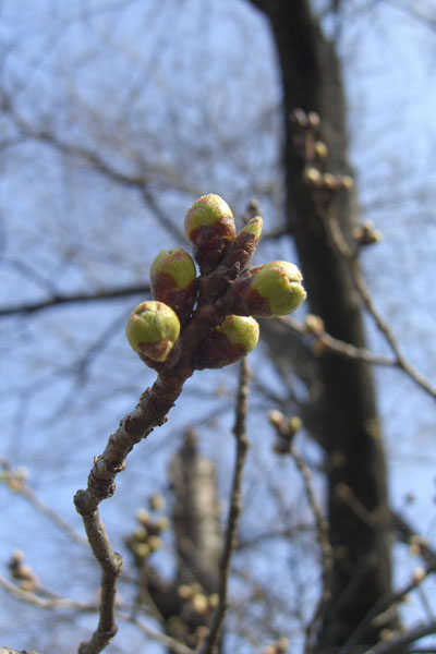 f0137626_2151343.jpg