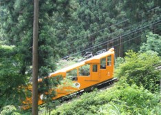 b0077929_84816.jpg