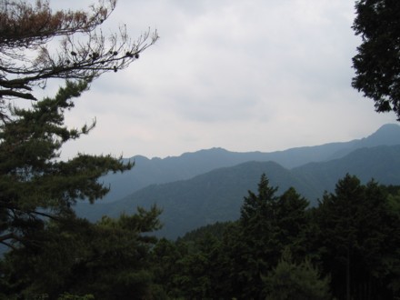 b0077929_90507.jpg