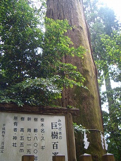 f0105533_1376.jpg